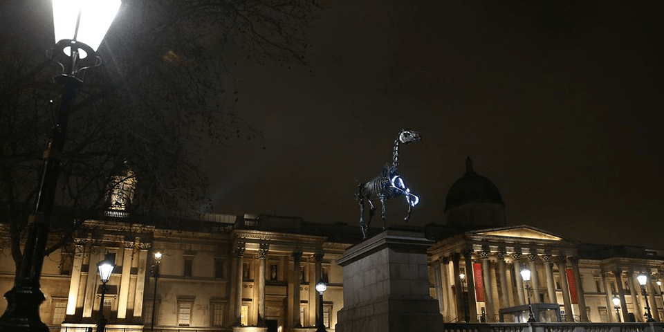 The unfortunate side effect of LED lighting.